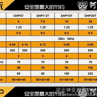 【河北神亚】（知名品牌）机械生产 现货供应群吊电动葫芦10T4根DHP型爬架大吊机群吊环链电动葫芦图5