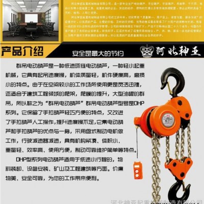 【河北神亚】（知名品牌）机械生产 现货供应群吊电动葫芦10T4根DHP型爬架大吊机群吊环链电动葫芦图4