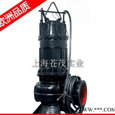 qw排污泵铸铁叶轮 排污泵qw排污泵 WQ50-25-32-5.5图1
