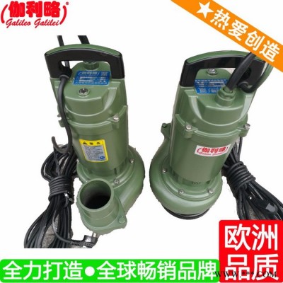 上海单相双叶轮潜水电泵 上海qdx30-6-0.75a 伽壹图6