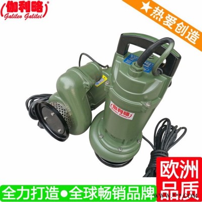 上海单相双叶轮潜水电泵 上海qdx30-6-0.75a 伽壹图2