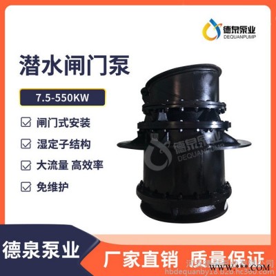 德泉泵业QGWZ湿定子闸门泵制造商 叶轮内置式闸门泵