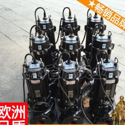 潜水泵65qw50-15-4 双叶轮污水泵 潜水泵25qw7图3