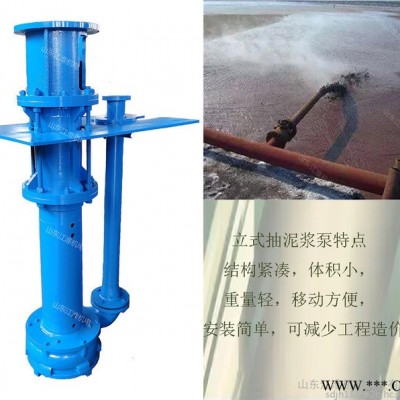 液下吸砂泵 长轴清淤泵 立式抽砂叶轮 抽液泵 运行稳定 质量可靠图4