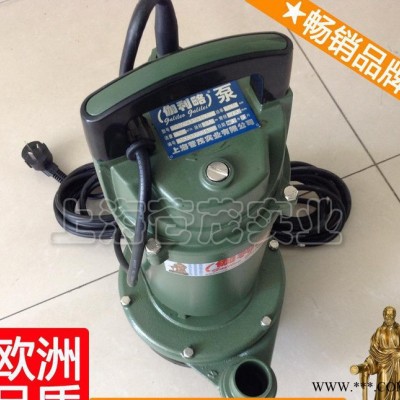 单相双叶轮潜水电泵 潜水电泵报价 11kw潜水电泵 秦图2