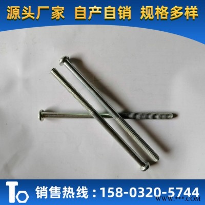 老茂M3-M6 加长微标螺丝 盘头十字螺丝 电工螺丝 机牙螺丝图3