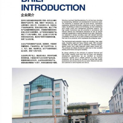 批发**，水泵密封，机械密封件，中型密封件系列图2