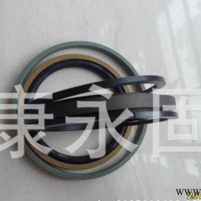 SPGW型密封件 活塞密封件  NOK双向活塞密封圈SPGW