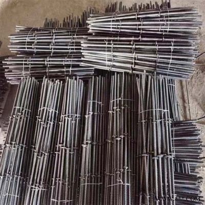 穿墙螺丝 通丝止水螺杆 通丝螺杆批发 洱星 厂家直供