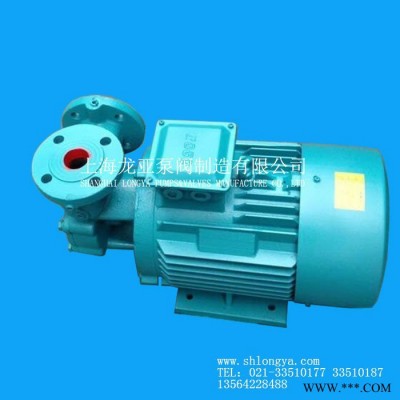 销售25W-1-70铜叶轮旋涡泵 变频旋涡泵图1