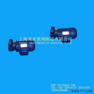 供应1.5W-2.4-10.5不锈钢叶轮旋涡泵 智能旋涡泵图3