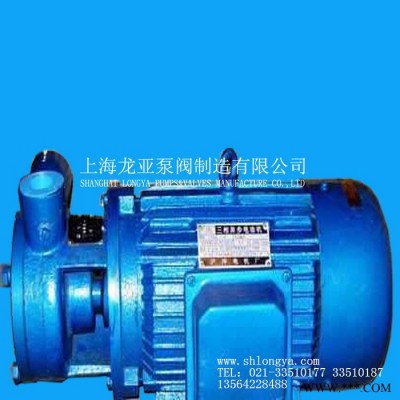 供应流量1.0M3/H旋涡水泵 铜叶轮旋涡泵图3