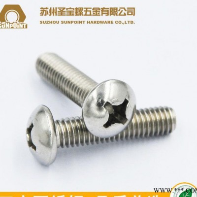 不锈钢304 GB818-76十字半圆头机螺丝电子螺钉精密螺丝 M2-M4图2