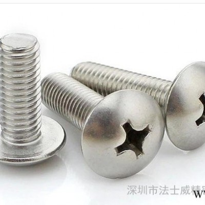 不锈钢十字大扁机 大扁头螺丝 伞头螺丝 M4*10图2