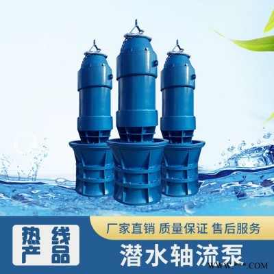 不锈钢叶轮轴流泵 精铸轴流泵制造 轴流泵型号参数 德泉泵业图2