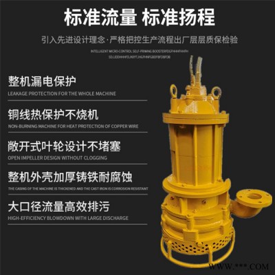 江淮牌潜水电动抽泥沙泵 独立搅拌叶轮，抽取水底泥沙图8