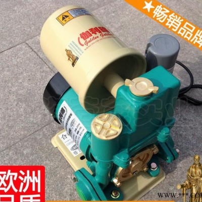 自吸式增压泵 家用进口自吸泵 双叶轮自吸泵 简单新图2