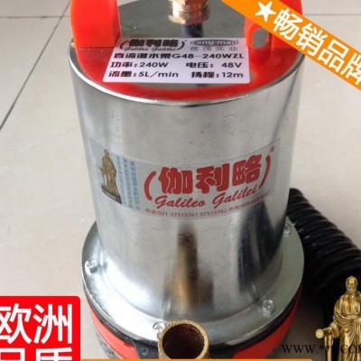 微型24v潜水泵 微型直流水泵 农用叶轮水泵 GWZL汉图3