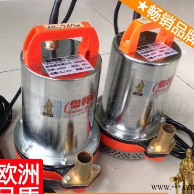 微型24v潜水泵 微型直流水泵 农用叶轮水泵 GWZL汉图2