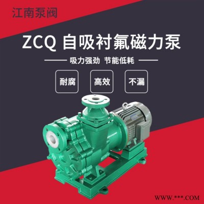 JiangNan/江南 自吸式塑料电动泵 化工自吸酸泵 防爆叶轮泵 ZCQ50-40-125图3