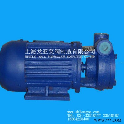 销售40W-40铜叶轮旋涡泵 可拆洗式旋涡泵图4