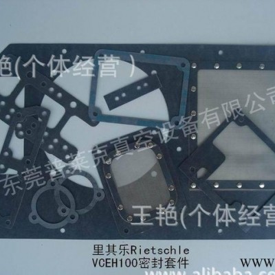 提供 里其乐VC300密封件 水循环负压真空泵维修