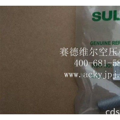 88811116-065寿力空压机螺丝_螺栓螺杆图2