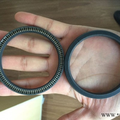 供应瑞典特瑞堡TRELLEBORG品牌密封件--防尘圈、斯特封、格莱圈等图3