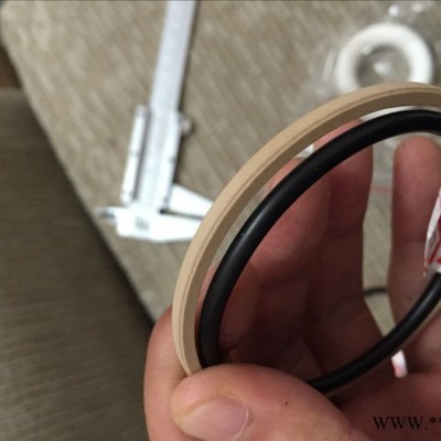 供应瑞典特瑞堡TRELLEBORG品牌密封件--防尘圈、斯特封、格莱圈等图6