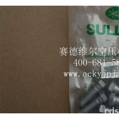 829108-175寿力空压机螺丝_螺栓螺杆图3