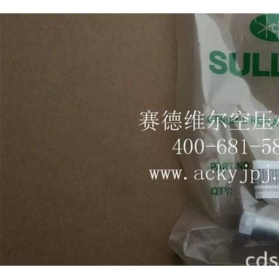 829108-175寿力空压机螺丝_螺栓螺杆图2