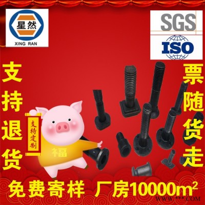 星然生产加工 非标螺栓 非标螺丝 非标异型件 特殊螺丝 来图来样定制定做 厂家 各种规格 价格详询客服图2