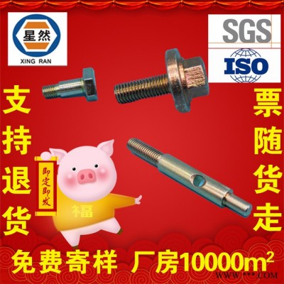 星然生产加工 非标螺栓 非标螺丝 非标异型件 特殊螺丝 来图来样定制定做 厂家 各种规格 价格详询客服图3