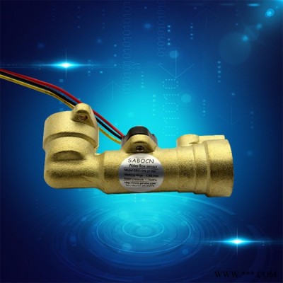 赛盛尔SEN-HW21NA 叶轮式水流传感器 自动洗车机水流传感器 霍尔流量传感 4分流量计图4