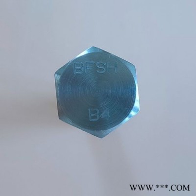 HastelloyB4螺丝图8