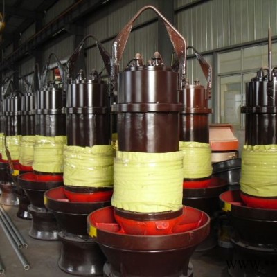 900QZ125-200KW 潜水轴流泵 大流量低扬程水泵 潜水型电泵 不锈钢叶轮轴流泵图6