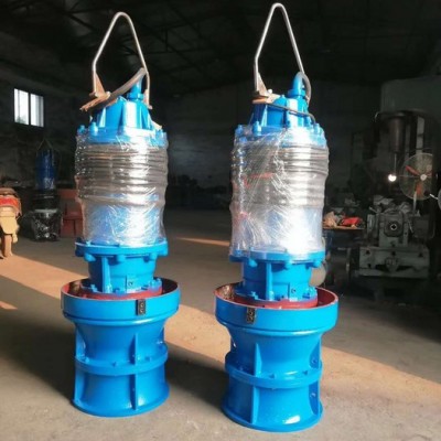 900QZ125-200KW 潜水轴流泵 大流量低扬程水泵 潜水型电泵 不锈钢叶轮轴流泵图7