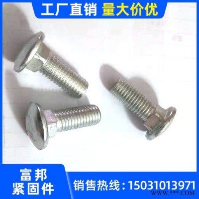 富邦M6 马车螺丝 镀锌半圆头方颈马克螺丝 高强度马车螺栓图5