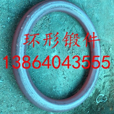 迪士亚DN50 密封件图7