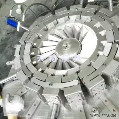 黄岩天材模具供应风机叶轮模具 ABS叶轮塑料模具图2