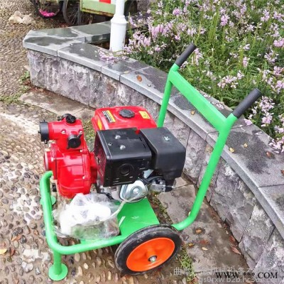 广盛   手拉启动便携式汽油自吸泵  双叶轮消防水泵 防汛柴油抽水泵图7