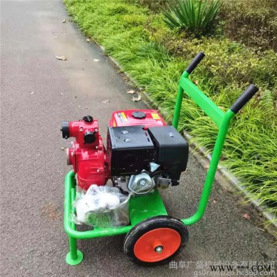 广盛   手拉启动便携式汽油自吸泵  双叶轮消防水泵 防汛柴油抽水泵图2