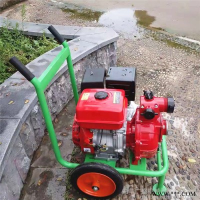 广盛   手拉启动便携式汽油自吸泵  双叶轮消防水泵 防汛柴油抽水泵图3