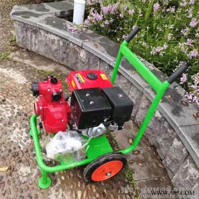 广盛   手拉启动便携式汽油自吸泵  双叶轮消防水泵 防汛柴油抽水泵图4