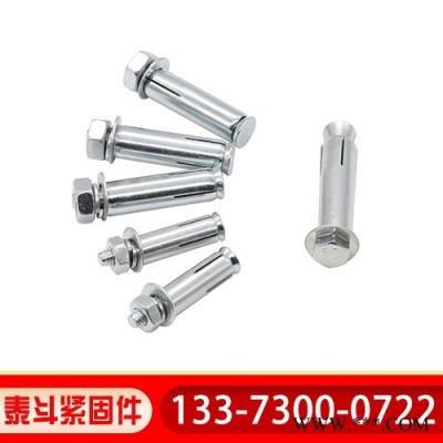 泰斗紧固件 厂家大量销售 膨胀螺丝/膨胀螺栓  客户来电咨询