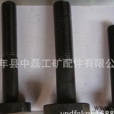 专业提供 特大螺栓 异型螺栓 特大栓 特大螺丝图2