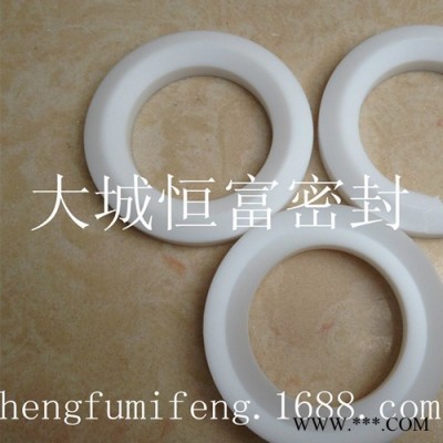 低价供应四氟密封件，垫圈，导向环，改性耐磨活塞环