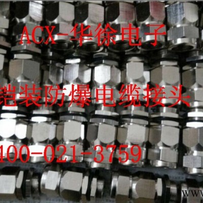 双密封铠装防爆接头锁头填料函密封件图2