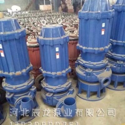 辰龙泵业350ZJQ-A51 机械密封件潜水渣浆泵使用说明书重型渣浆泵图1