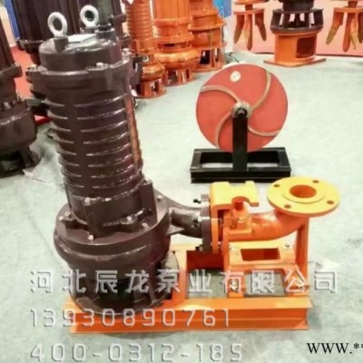 辰龙泵业350ZJQ-A51 机械密封件潜水渣浆泵使用说明书重型渣浆泵图8